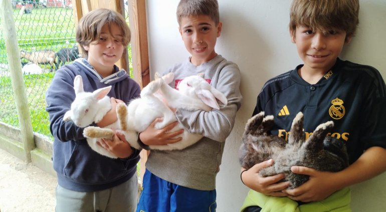 Bienvenido a los campamentos 2024!