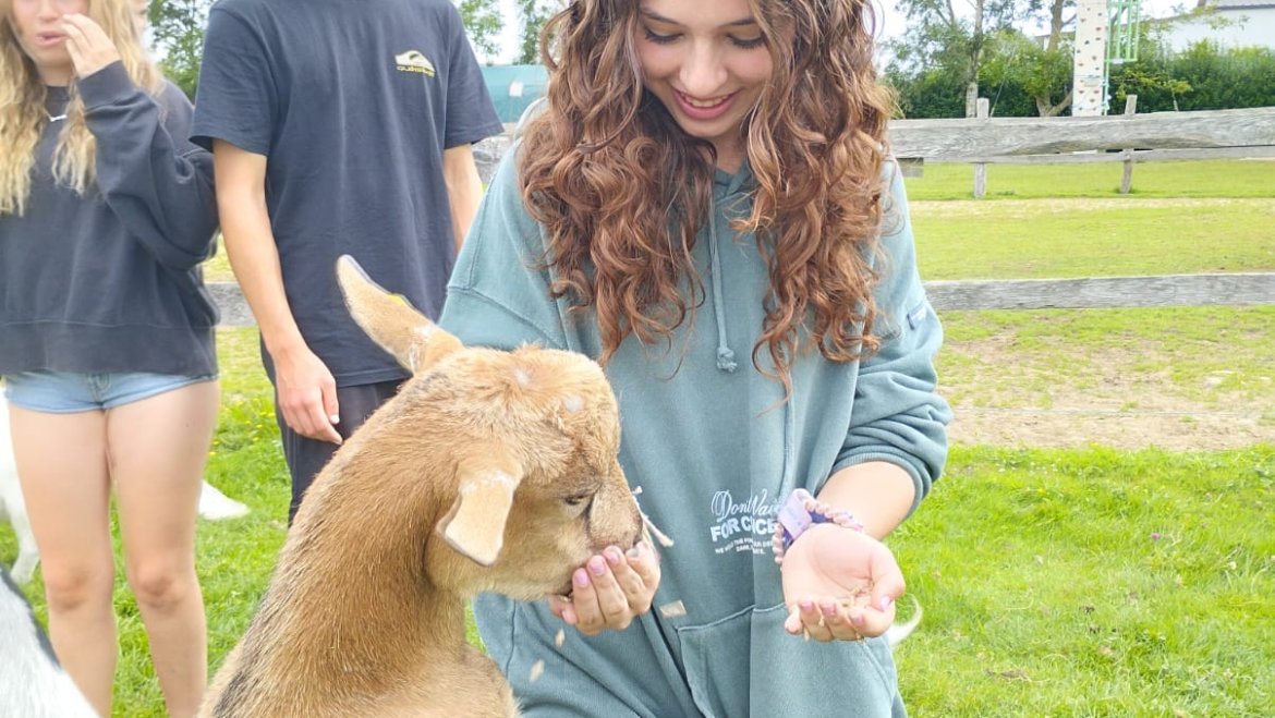 Playa, piscina y mucho más