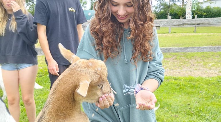 Playa, piscina y mucho más