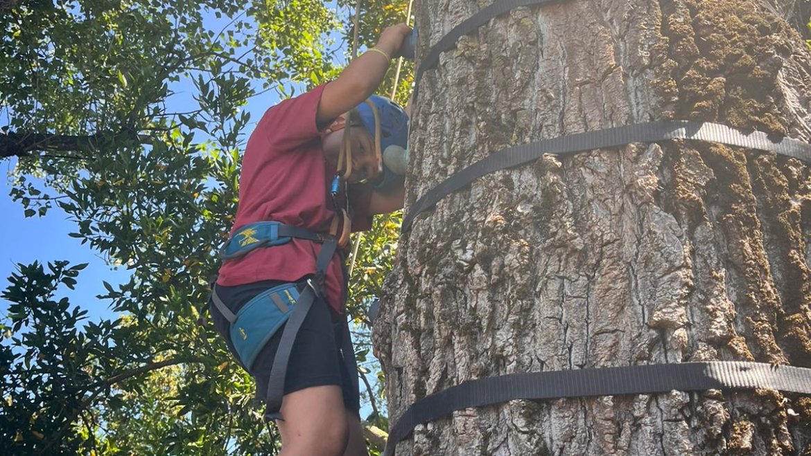 Fotografías día 30 de Julio