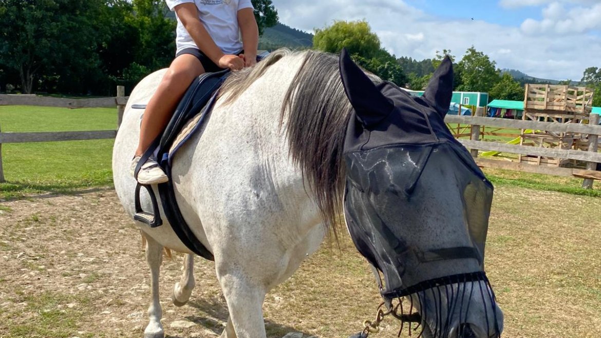 Fotografías 14 de Agosto