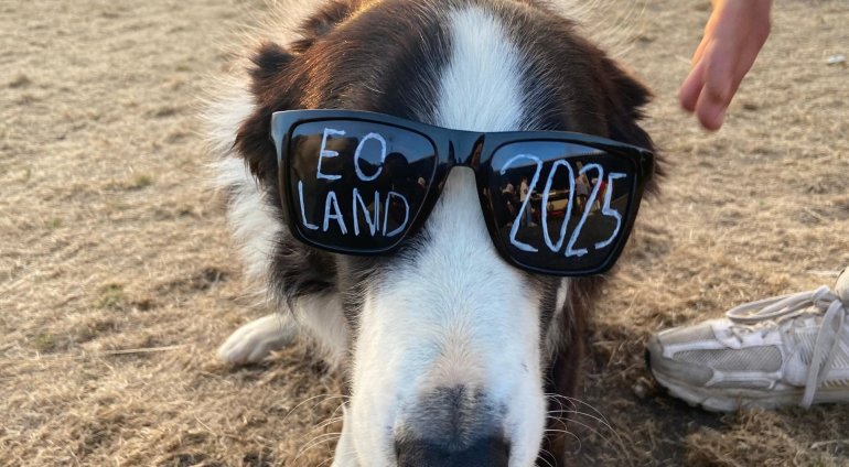 Fotografías 26 y 27 de Julio – Final de campamento