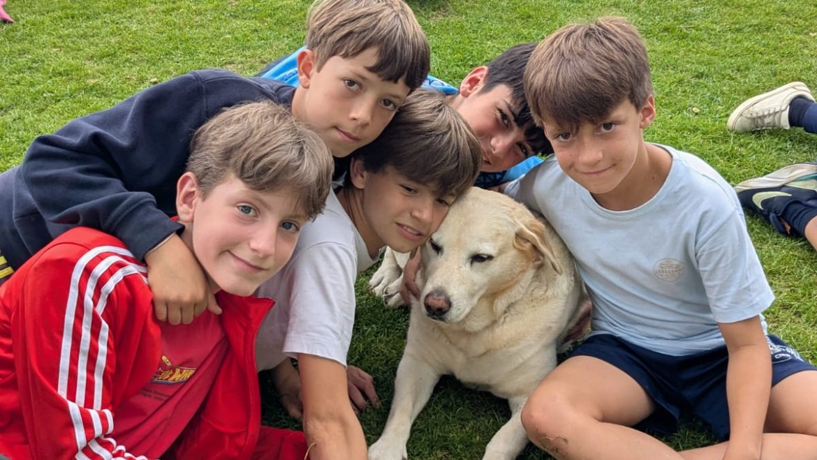 Fotografías 1 de Julio