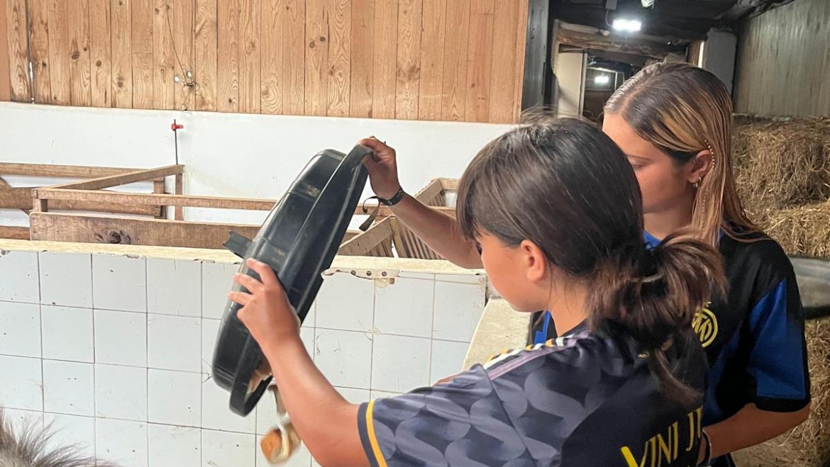 Fotografías 10 de Agosto