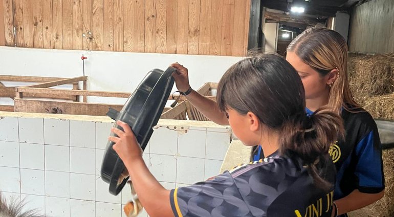 Fotografías 10 de Agosto